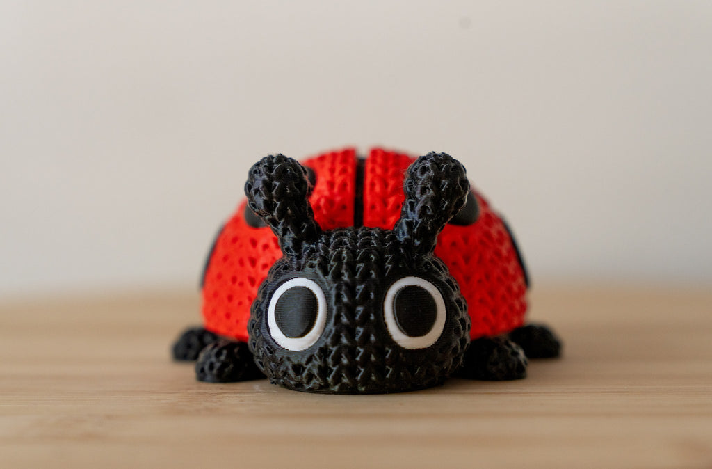 Articulated Ladybug 3D Printed Fidget Toy | Flexi Ladybug Beetle | Cute Sensory Desk Toy | Garden Bug Gift | Stress Relief