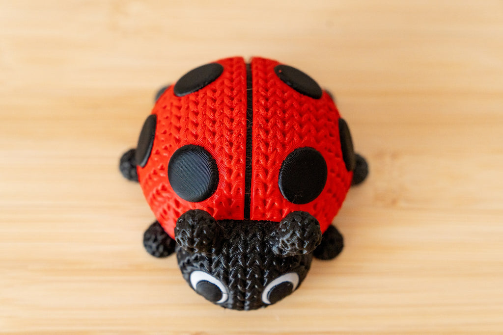 Articulated Ladybug 3D Printed Fidget Toy | Flexi Ladybug Beetle | Cute Sensory Desk Toy | Garden Bug Gift | Stress Relief